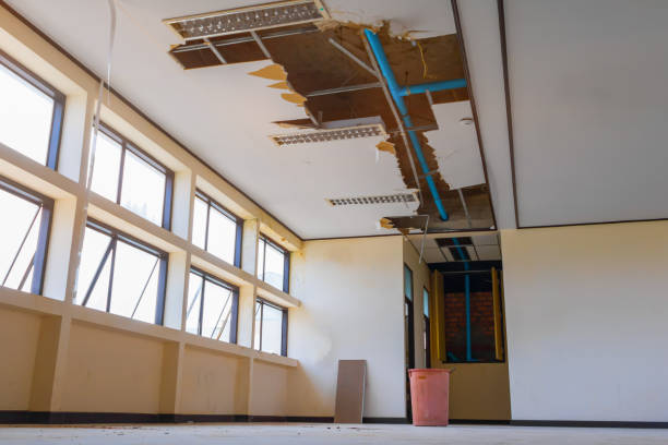 Best Flood damage cleanup  in New Bern, NC