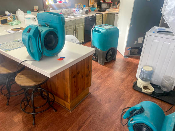 Best Residential water damage restoration  in New Bern, NC