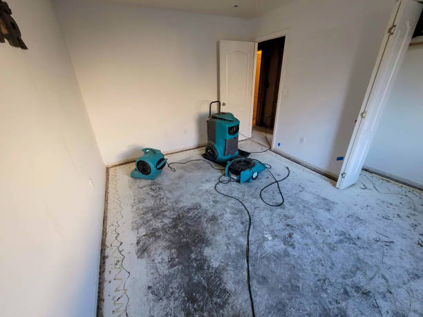 Best Water damage restoration mold remediation  in New Bern, NC