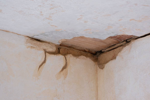 Best Water damage restoration near me  in New Bern, NC