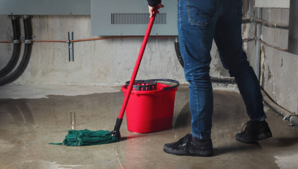 Best Water damage restoration company  in New Bern, NC