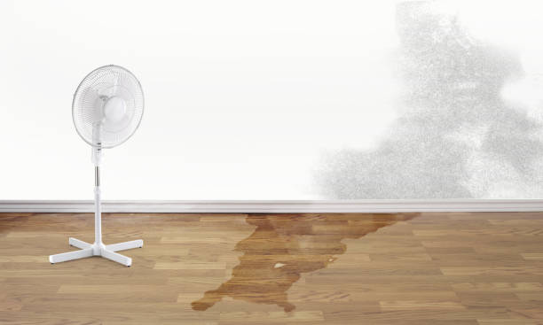 Best Water damage restoration mold remediation  in New Bern, NC