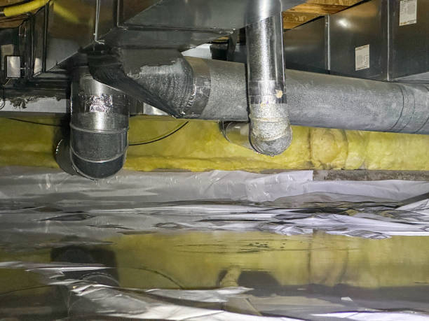 Best Water damage mitigation services  in New Bern, NC