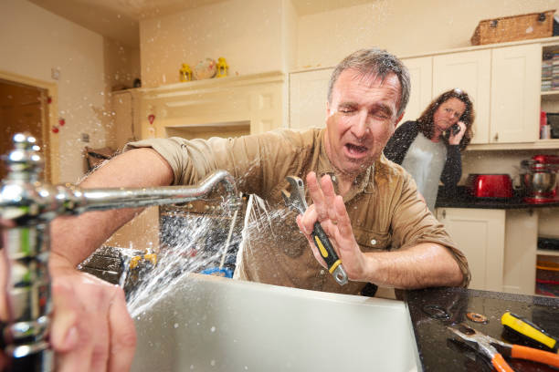 Best Basement water damage restoration  in New Bern, NC